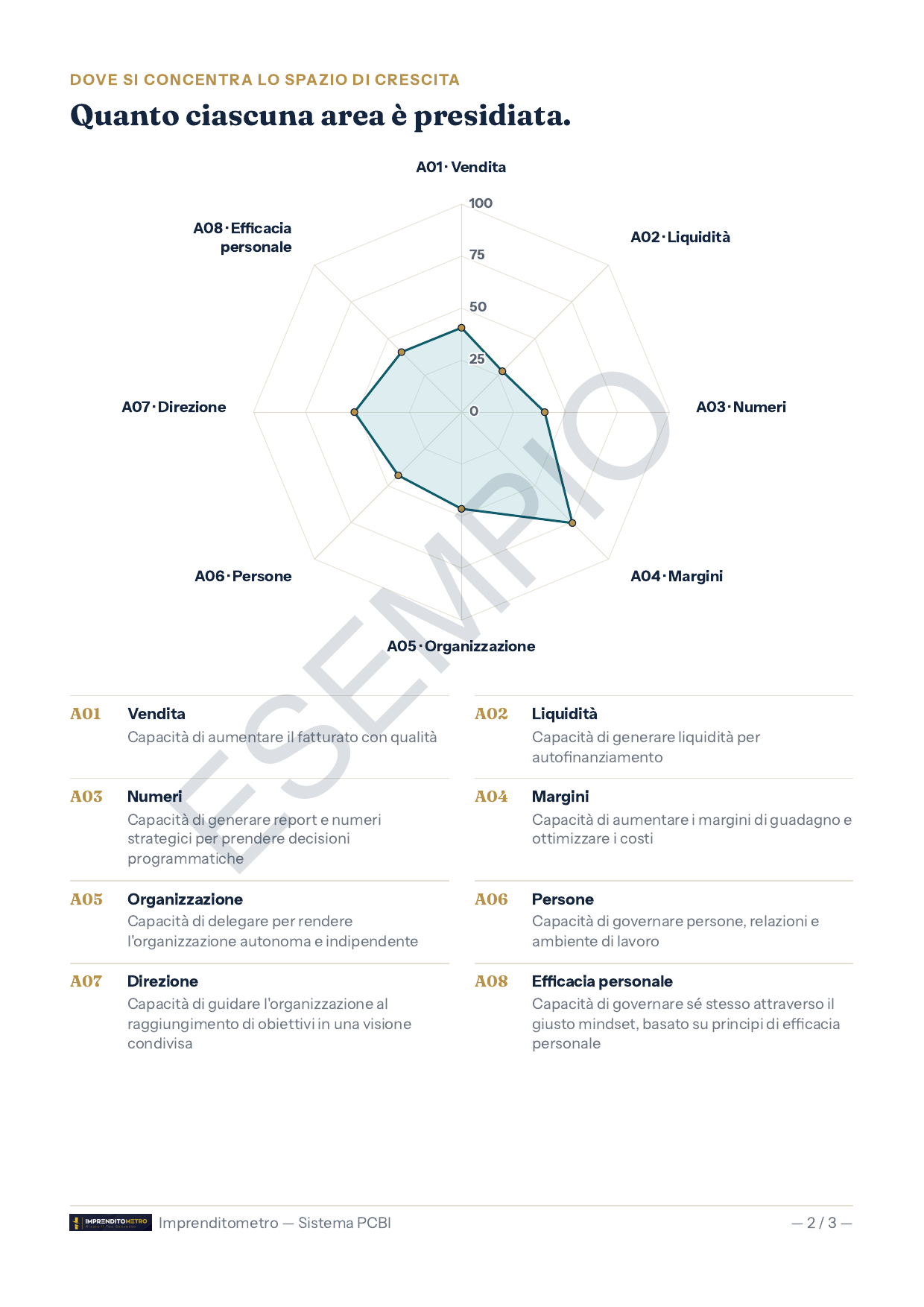 Report Imprenditometro di esempio, pagina 2 di 3: radar delle 8 aree